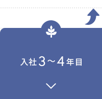 入社3〜4年目