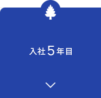 入社5年目